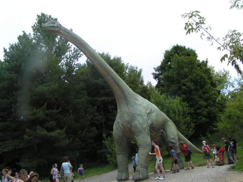 Mládě Brachiosaura.