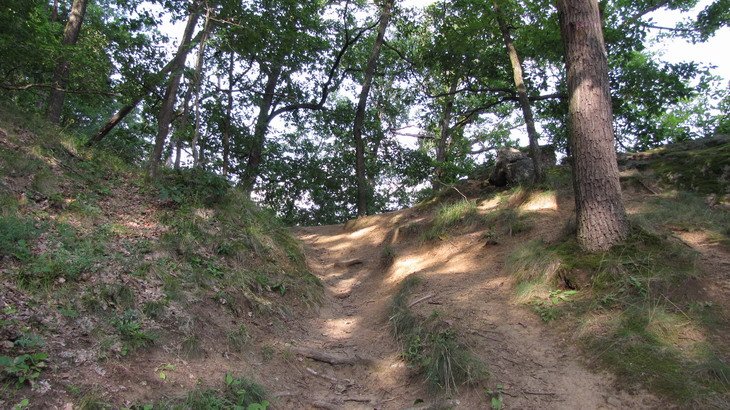 Po několika metrech nesmíme zapomenout odbočit doleva na lesní pěšinu, která stoupá prudce k hradu Kraví Hora.