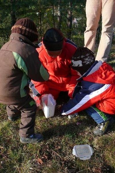 Tady naši kešku prozkoumávají malí Sieberovic kačeři.