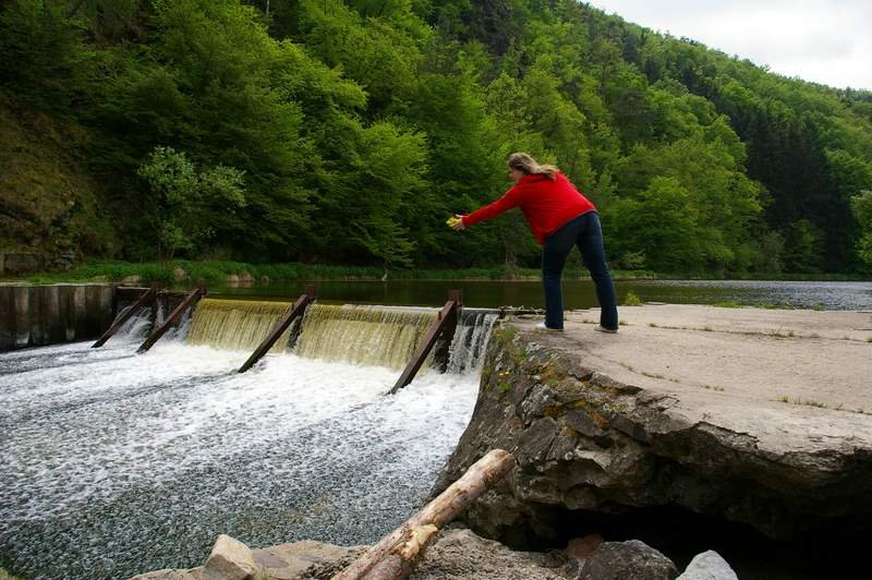 Pampeliskovy venecek se vydava na cestu do Cerneho more