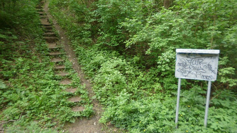 Od pramene stoupají schody, po kterých bychom došli zpět do obce Nová Ves.