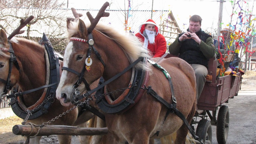 Letos v bryčce nebyli zapřaženi koně, ale praví sobi :) a řídil je Santa Claus:
