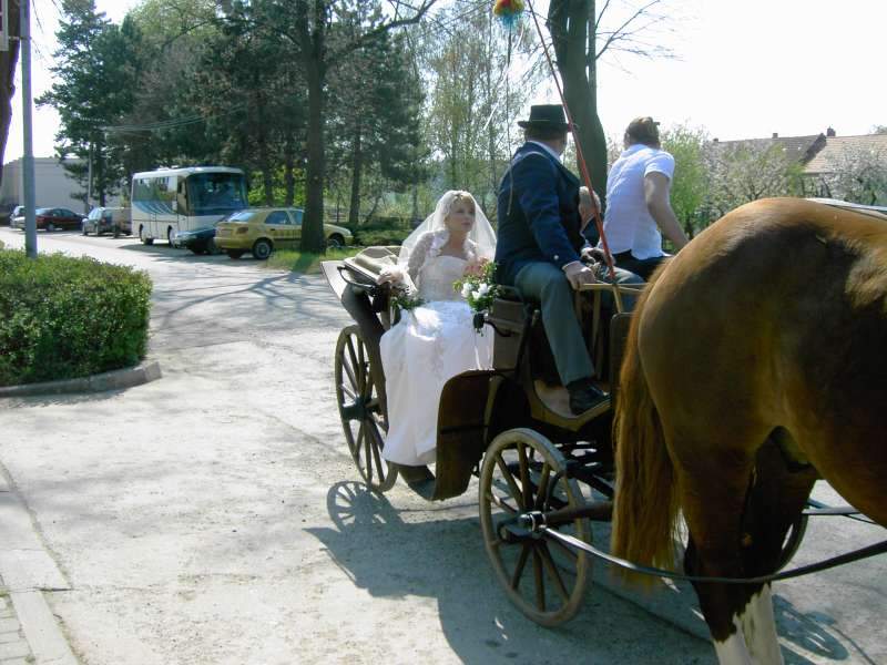 Oddávající i snoubenci (každý zvlášť) se na "místo činu" dopravili kočárem.