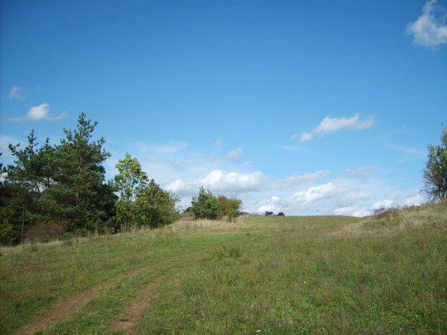 Krajina postupně začne připomínat step.