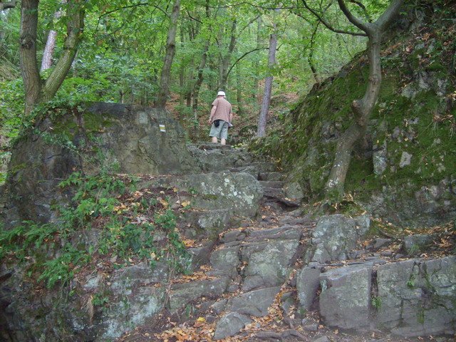 Za mostem se dáme doprava a stoupáme po schodech k hradu Templštýn.