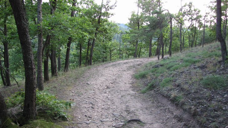 U tabule odbočíme doprava a po jednom kilometru se dostaneme až k hradu.