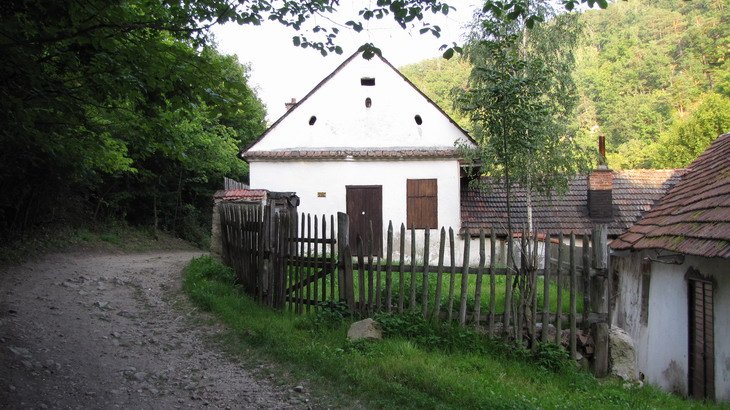 U mlýna se napojíme na lesní cestu a postupujeme směrem k řece.