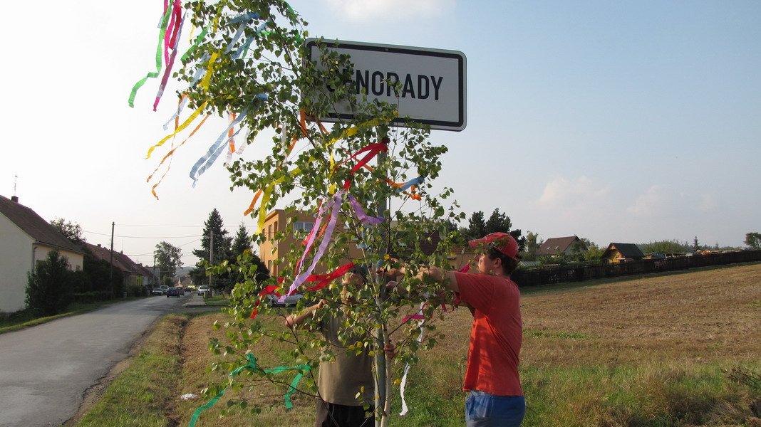 U pana Drtílka z Kozénku jsme nařezali máje, které jsme pak roznesli po obci (ke stárkám, ke značkám a ke kulturáku).