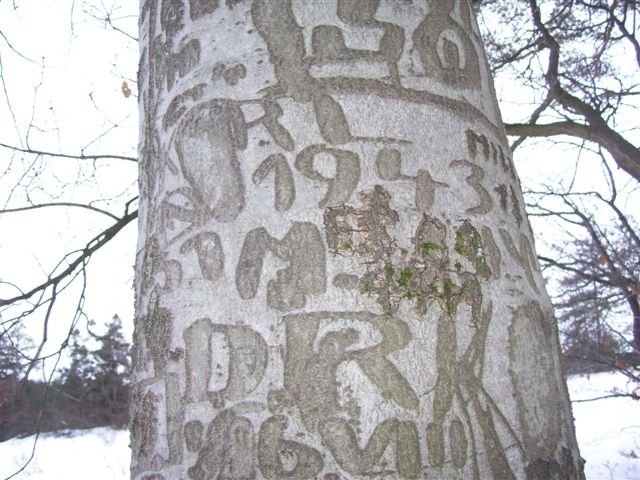 Tajemné nápisy