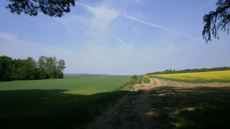 Z lesa vystupujeme nedaleko senoradské cihelny. Cihelna je ukryta za stromy v levé části snímku.