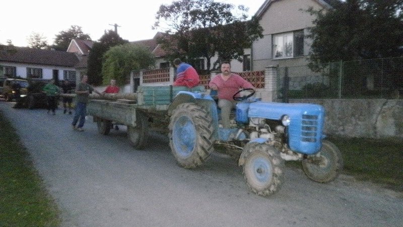 Rychlostí chůze byla mája dovezena z lesa až do obce.