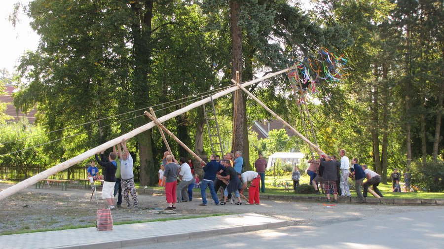 Mája se v této fázi zvedá pomocí tlačných kůlů. Žebříky jistí máju při povolování kůlů a lana pouze jistí směr.