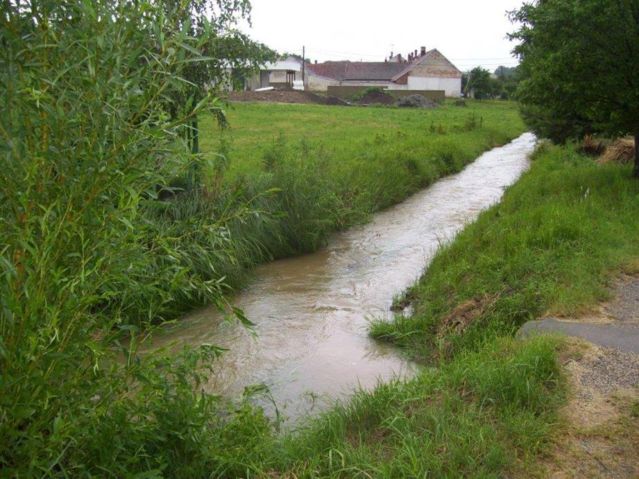 Pod školkou: