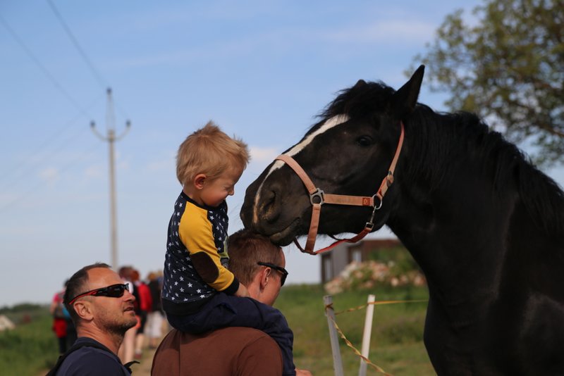 Stydlivé hlazení spíš jako olizování