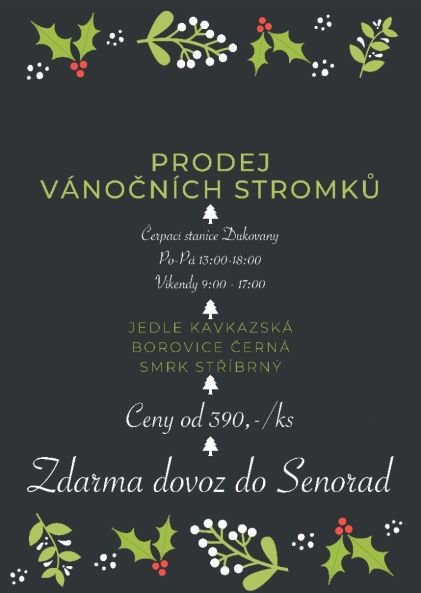 Prodej vánočních stromků s dopravou